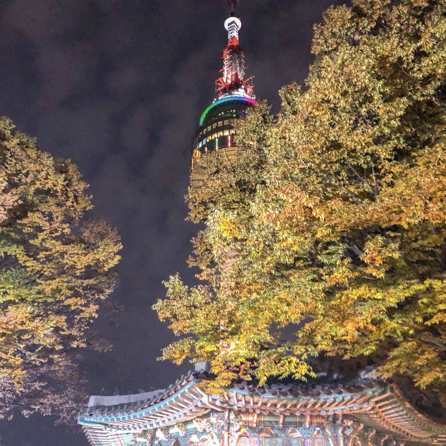 Nソウルタワー で韓国ドラマのようにロマンチックな夜景一望 想像以上に見どころいっぱい たんぽぽツアー Nソウルタワー で韓国ドラマのようにロマンチックな夜景一望 想像以上に見どころいっぱい たんぽぽツアー